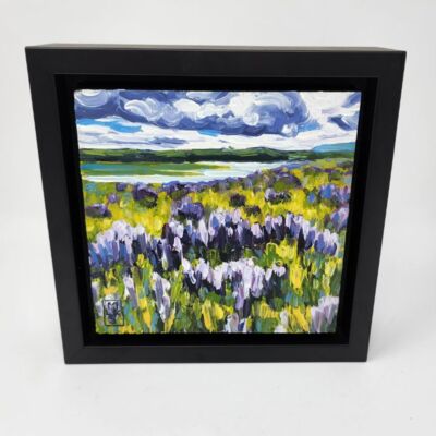 Lupins at the Causeway #6